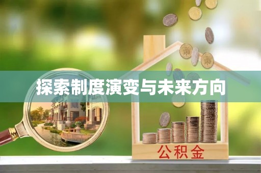 中埔探索制度演变与未来方向