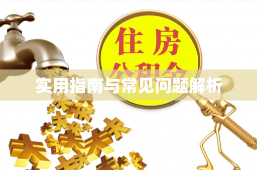 中埔实用指南与常见问题解析