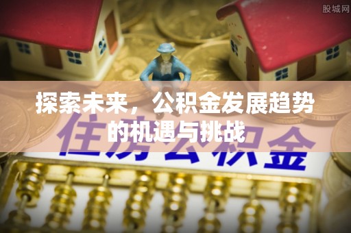 中埔探索未来，公积金发展趋势的机遇与挑战